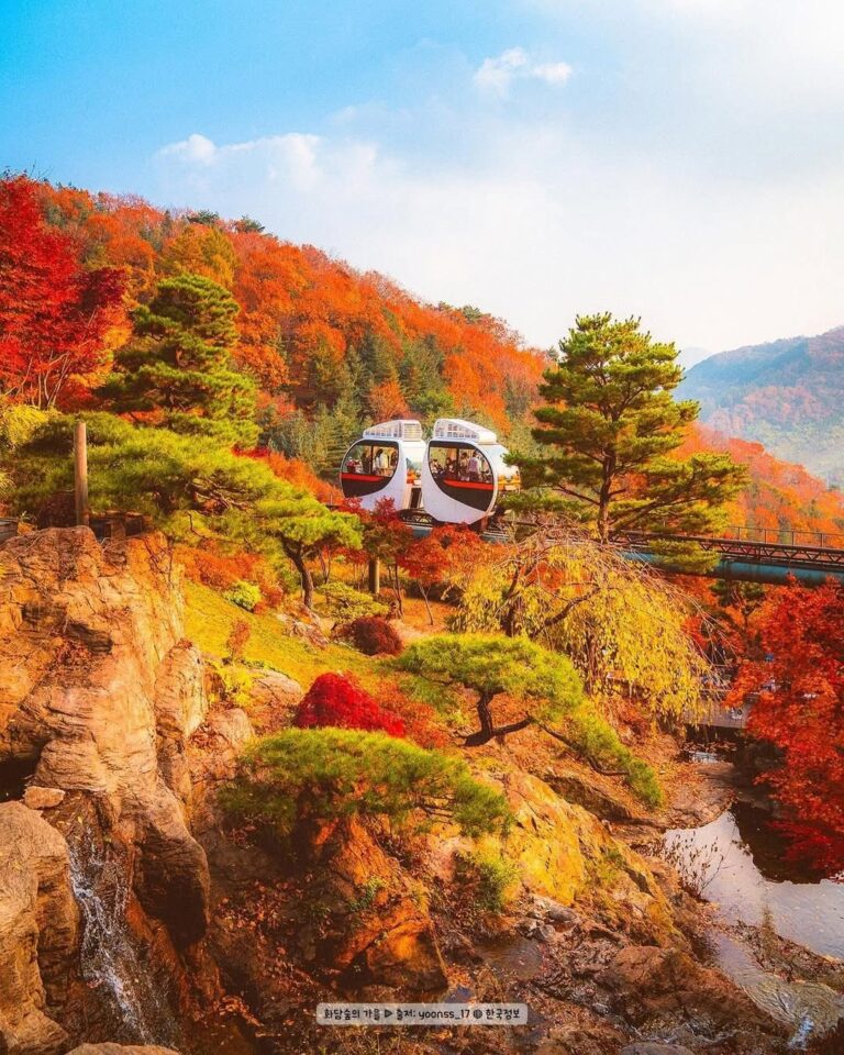 Quán thịt ở 성수 tuyển nữ